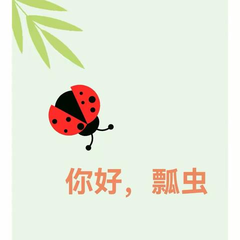 小昆虫大世界（一）    《你好，瓢虫🐞》班本课程