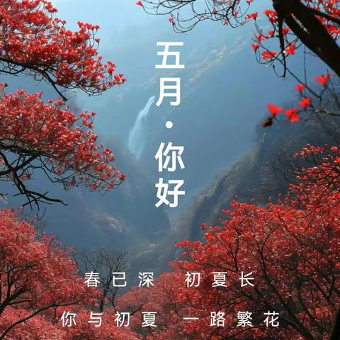 【附中学子这样过五一】一一 忻州师院附属中学初二4班郝浩然2024年五一假期实践活动