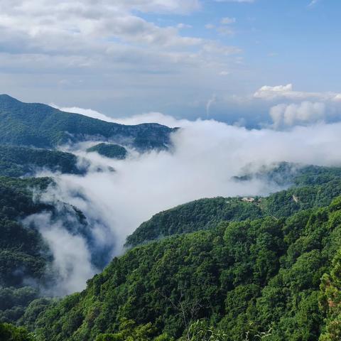 云台山一日游（茱萸峰的云海）