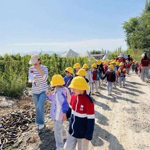 北大附校益宝贝幼儿园大六班探索大自然之旅