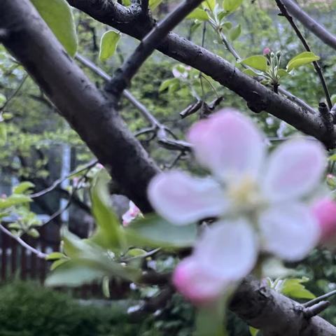 春生夏长安度年华