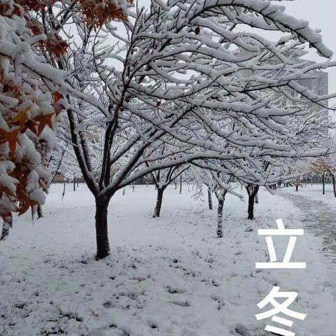 秋韵正浓时，悄然迎立冬                       ---姚店子永富庄小学组织开展立冬主题系列活动