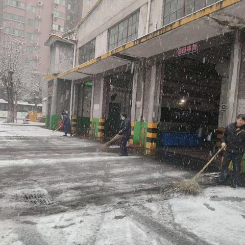 闻雪而动 浴“雪”奋战