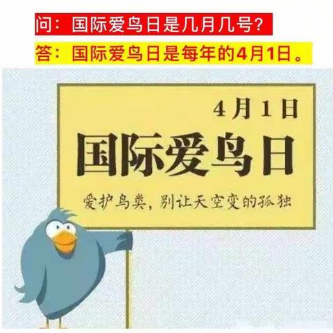 金滩镇中心小学开展爱鸟周少先队活动