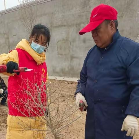 【我为群众办实事】修枝剪叶 美化家园——林业站志愿者在行动