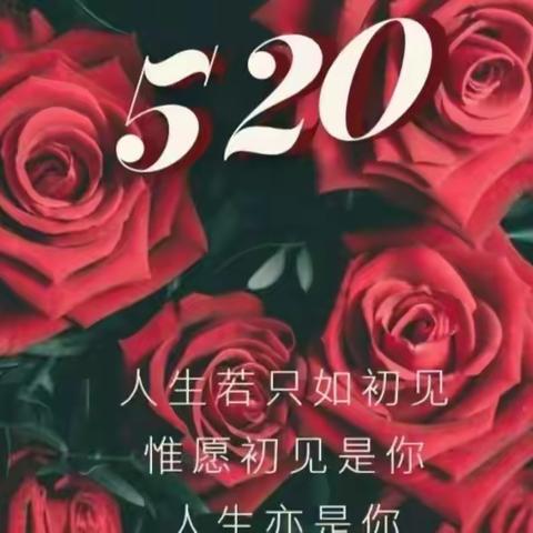 浪漫520 心之所想 爱之所向