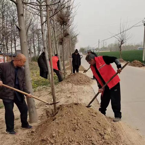 春季绿化正当时  人居环境大提升