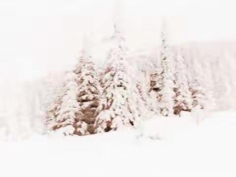 “幼”见雪景  正值冬至