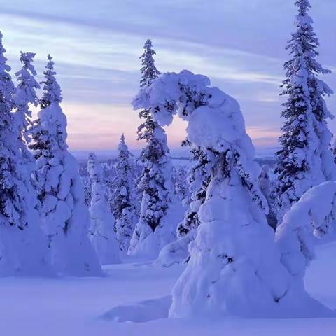 雪景唯美   共赏“江雪”