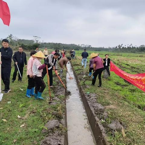 党建引领聚合力 冬修水利践初心——抱瑞村开展主题党日活动