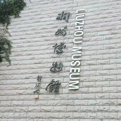 224班的研学之旅