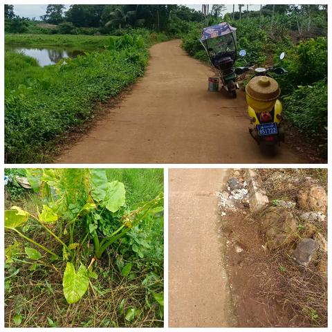 海口环卫2023年7月3日农村镇墟监督考评 。已整改