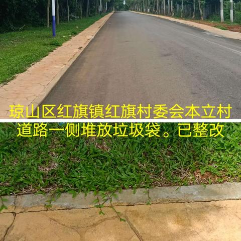 8.8红旗镇墟农村环卫作业质量监督考评 。已整改