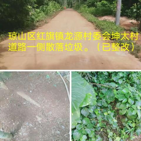 8.10长流镇、红旗镇、三江镇镇墟农村环卫作业质量监督考评。已整改