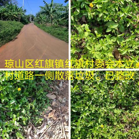 9.6红旗镇镇墟农村环卫质量监督考评 。已整改