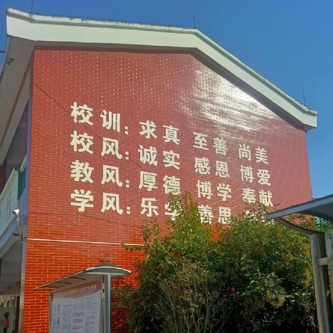 段庄小学开展“我为学校发展建言献策”活动