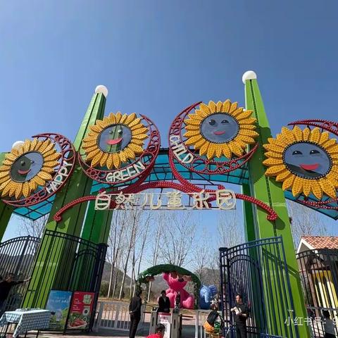 自然儿童乐园：自然与童趣的欢乐天地