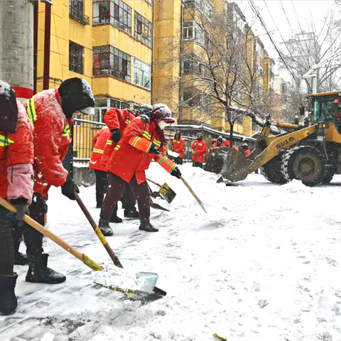 城环中心艰难治理  “雪顽固”