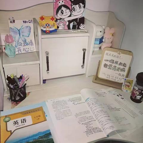 营造高效学习环境  构建舒适学习绿洲