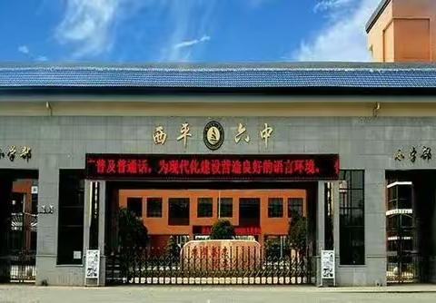 “清明祭英烈，共筑中华魂”——西平六中小学部清明节主题活动