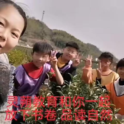 放下书卷 品读自然  灵蒴教育大别山研学游