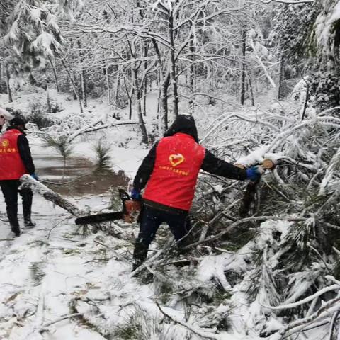 展坪镇全力以赴战风雪 保平安