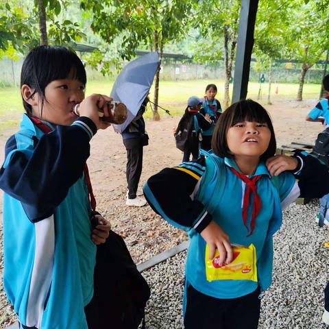 秋日拾趣    一路童行——向群小学2023年秋游实践活动