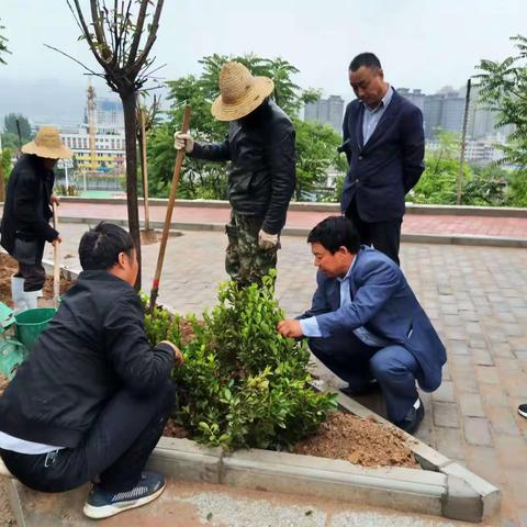 披“绿衣”，开“美颜”，公路绿化补植正当时！