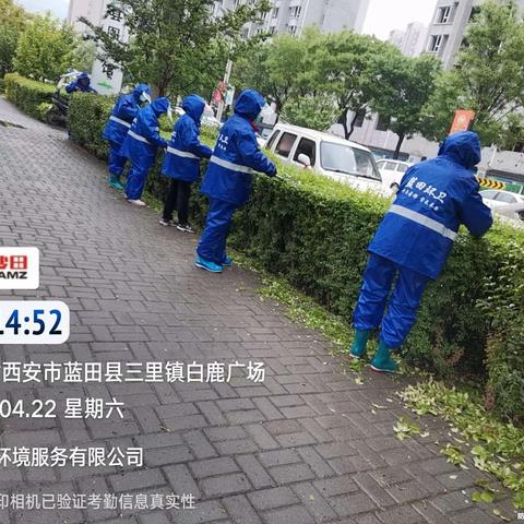 金沙田绿化队周报