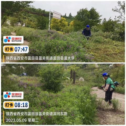 金沙田绿化队简报