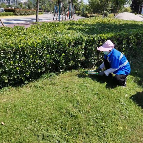 蓝田县金沙田环境服务有限公司工作周报