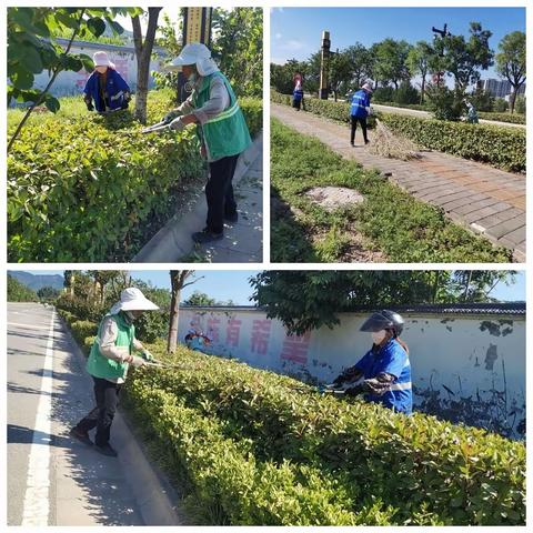 蓝田县金沙田环境服务有限公司工作周报