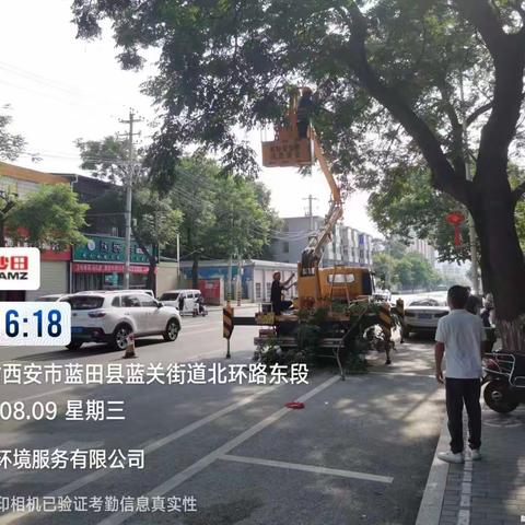 蓝田县金沙田服务有限公司周报