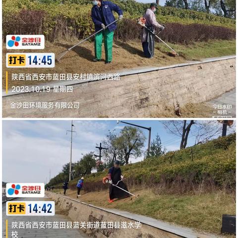 蓝田县金沙田队服务有限公司绿化