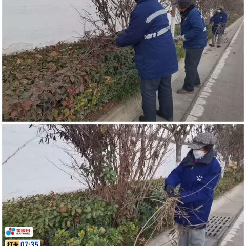 蓝田县金沙田服务有限公司绿化队周报