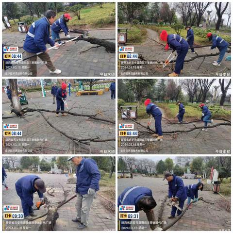 金沙田环境运营服务公司绿化队三月份周报