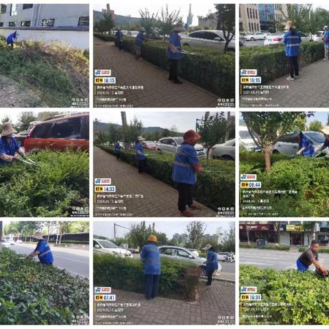 金沙田环境运营服务公司绿化队六月份周报