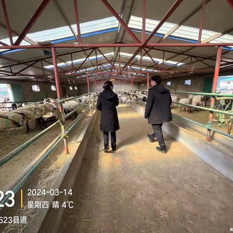 精准营销，让我们的产品深入人心，占据市场份额！