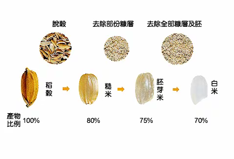 精米和糙米的区别