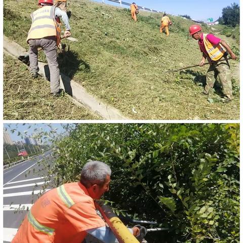 芝罘养护中心提前做好各项双节保畅工作