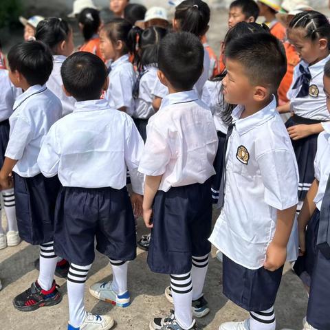 幼小衔接，我们在行动——团街镇中心幼儿园组织开展参观小学活动