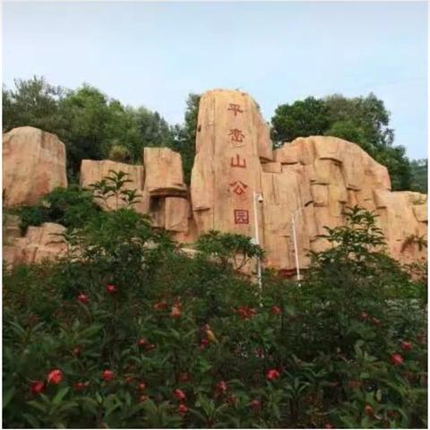 平峦山公园关于开展2023年度一线森林消防队伍业务技能培训的工作情况汇报