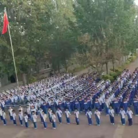 多彩校园活动，缤纷校园生活——交河育林小学