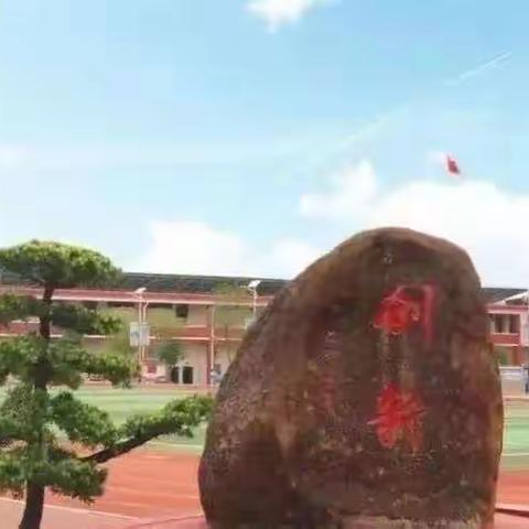 有效复习，迎接期末——小学数学组复习教研活动纪实