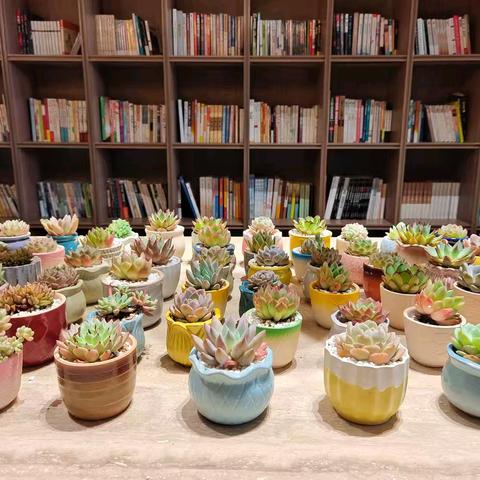 祝秦路社区开展“书香换绿韵•阅读焕生机”世界读书日以书换绿植活动