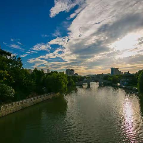 台风格美的灿烂 --7月27日摄于镇江运河广场