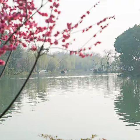 瘦西湖梅岭春色
