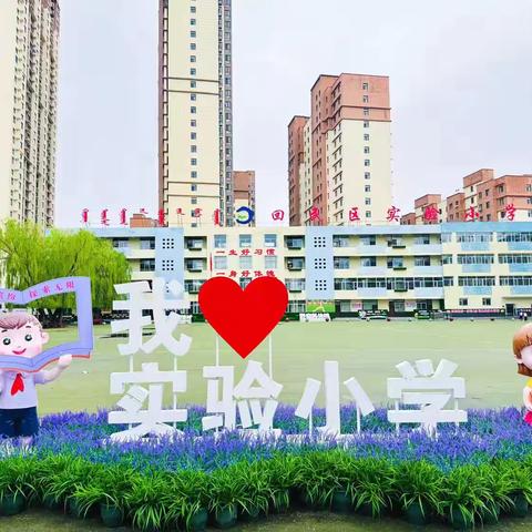 “小小科学家”实验探究篇——回民区实验小学三四班刘子涵