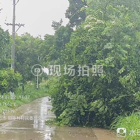 台风“派比安”过后，网格员协助清理道路树枝，帮助村民打通回村路