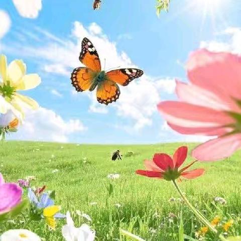 深耕教学常规 润泽成长沃土 ——洺州小学教学常规检查纪实